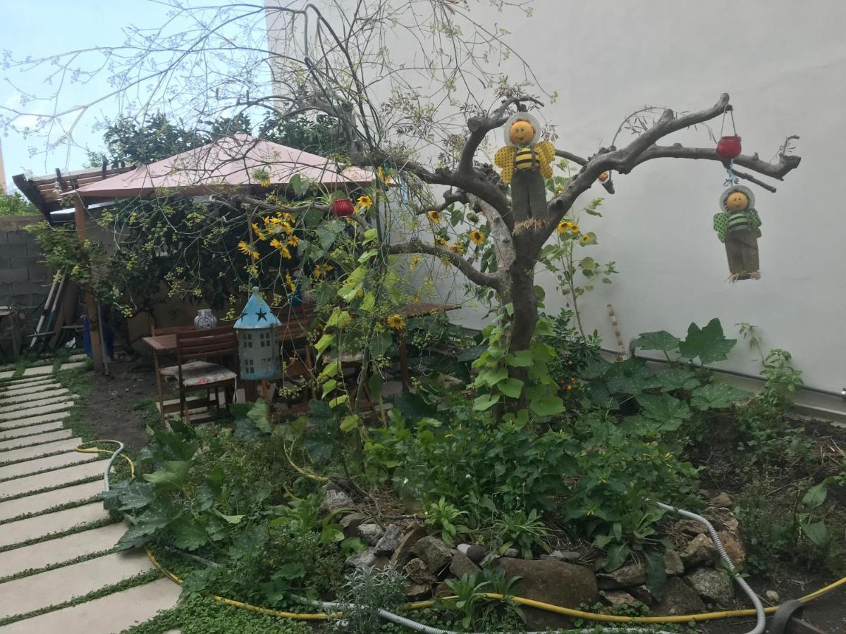 Bed and Breakfast La Zagara Furci Siculo Esterno foto